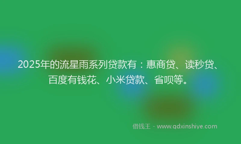 2025年的流星雨系列贷款有：惠商贷、读秒贷、百度有钱花、小米贷款、省呗等。