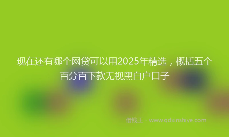 现在还有哪个网贷可以用2025年精选，概括五个百分百下款无视黑白户口子