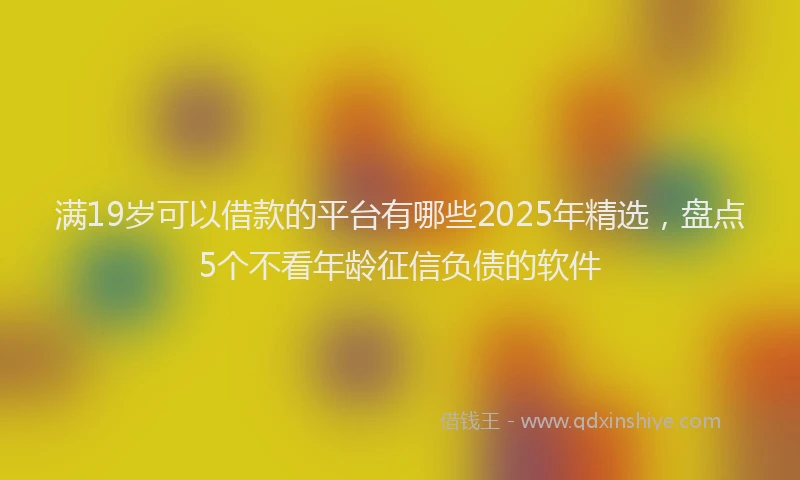 满19岁可以借款的平台有哪些2025年精选，盘点5个不看年龄征信负债的软件