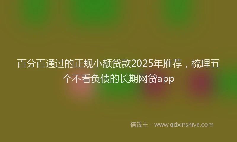百分百通过的正规小额贷款2025年推荐，梳理五个不看负债的长期网贷app