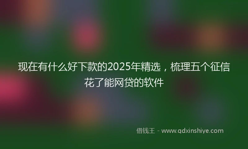 现在有什么好下款的2025年精选，梳理五个征信花了能网贷的软件