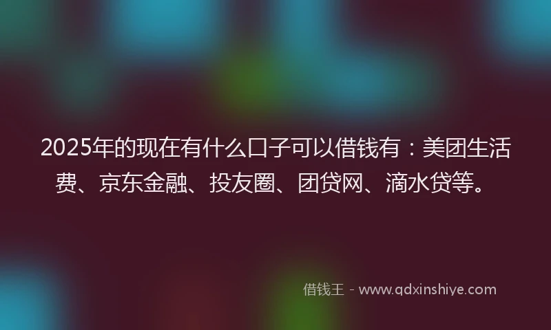 2025年的现在有什么口子可以借钱有：美团生活费、京东金融、投友圈、团贷网、滴水贷等。
