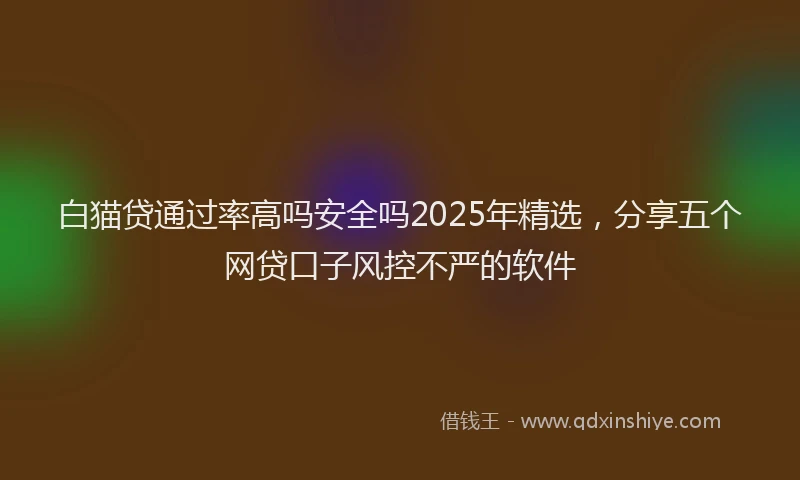 白猫贷通过率高吗安全吗2025年精选，分享五个网贷口子风控不严的软件