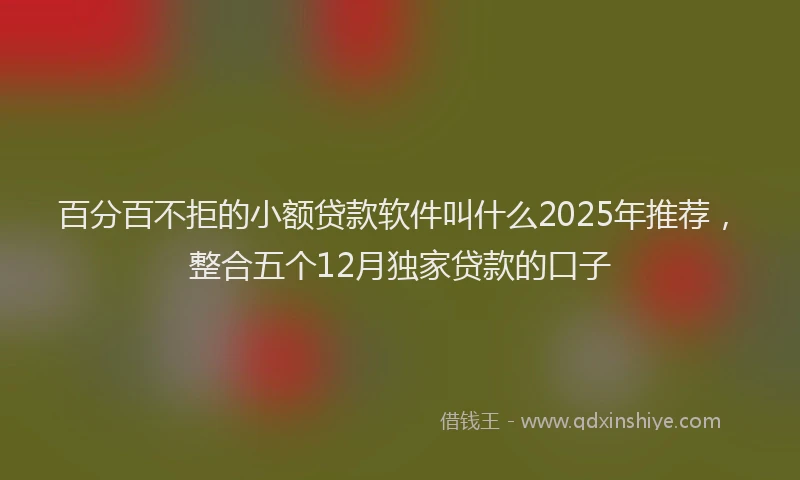 百分百不拒的小额贷款软件叫什么2025年推荐，整合五个12月独家贷款的口子