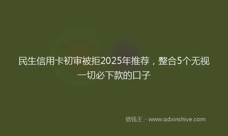 民生信用卡初审被拒2025年推荐，整合5个无视一切必下款的口子