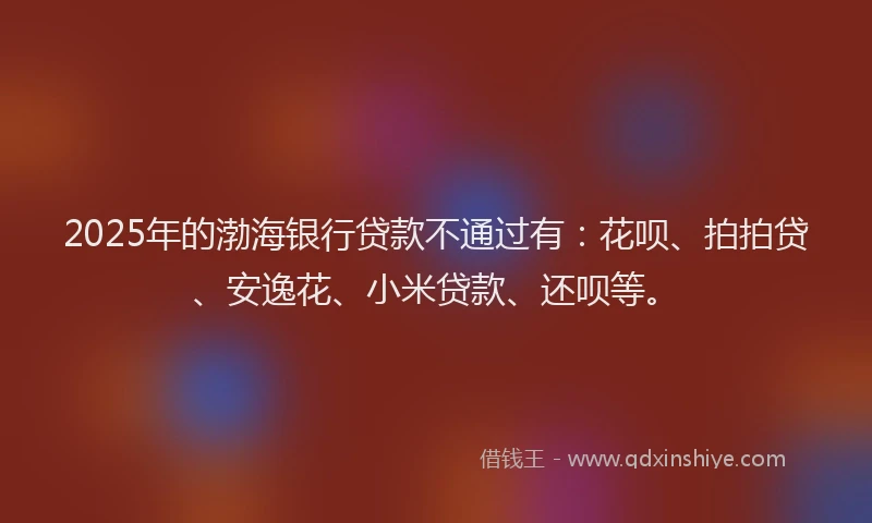 2025年的渤海银行贷款不通过有：花呗、拍拍贷、安逸花、小米贷款、还呗等。