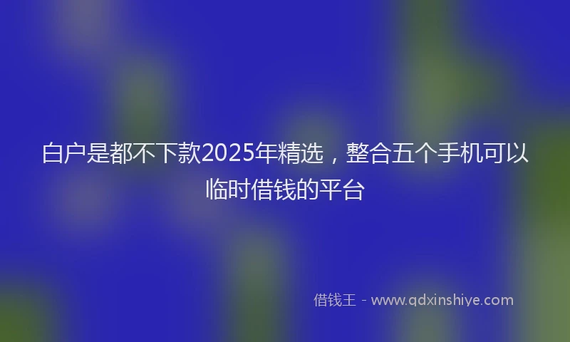 白户是都不下款2025年精选，整合五个手机可以临时借钱的平台