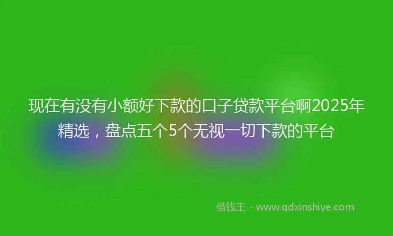 现在有没有小额好下款的口子贷款平台啊2025年精选，盘点五个5个无视一切下款的平台