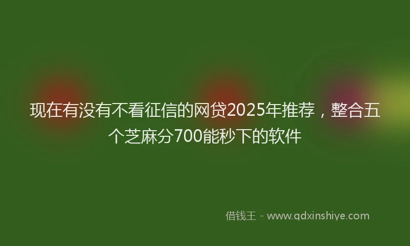 现在有没有不看征信的网贷2025年推荐，整合五个芝麻分700能秒下的软件