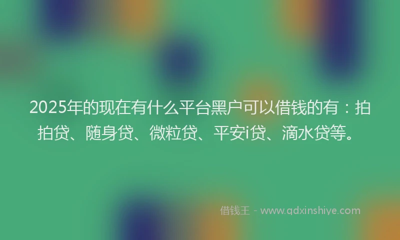 2025年的现在有什么平台黑户可以借钱的有：拍拍贷、随身贷、微粒贷、平安i贷、滴水贷等。