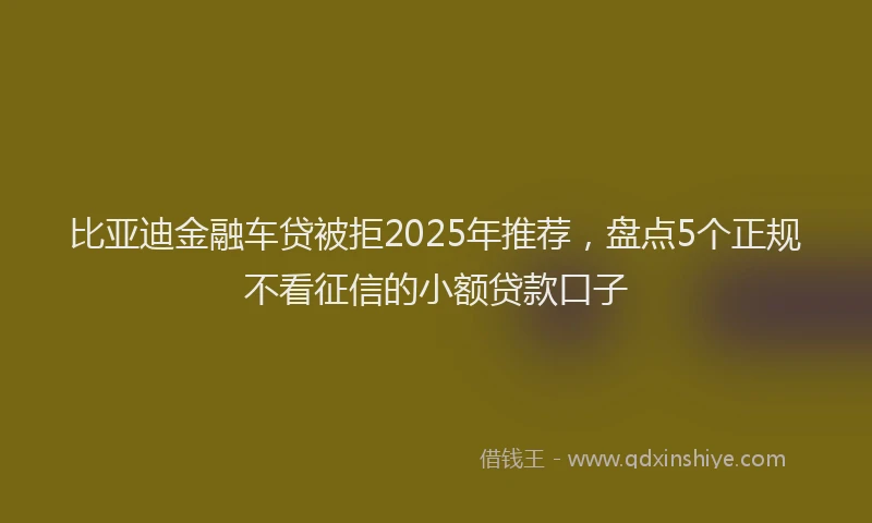 比亚迪金融车贷被拒2025年推荐，盘点5个正规不看征信的小额贷款口子