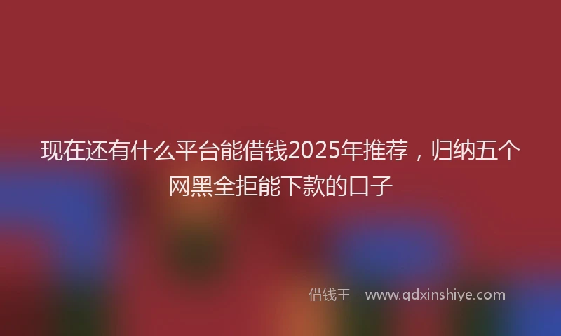现在还有什么平台能借钱2025年推荐，归纳五个网黑全拒能下款的口子