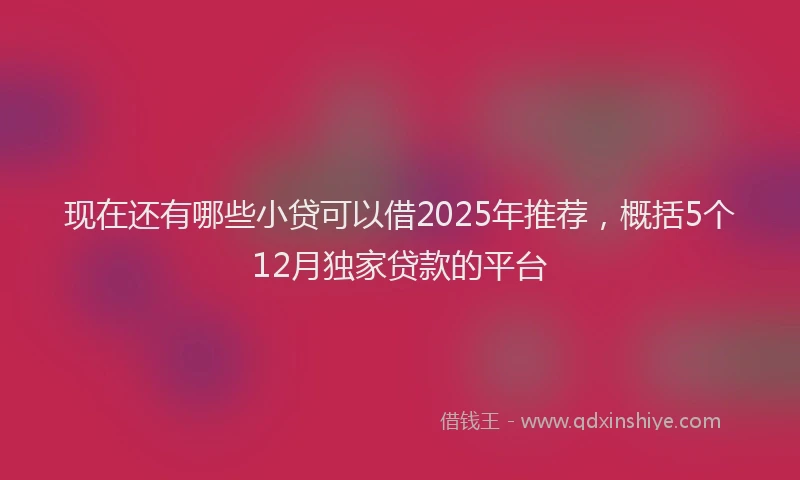 现在还有哪些小贷可以借2025年推荐，概括5个12月独家贷款的平台