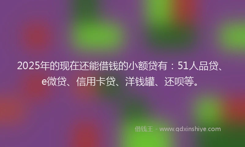 2025年的现在还能借钱的小额贷有：51人品贷、e微贷、信用卡贷、洋钱罐、还呗等。