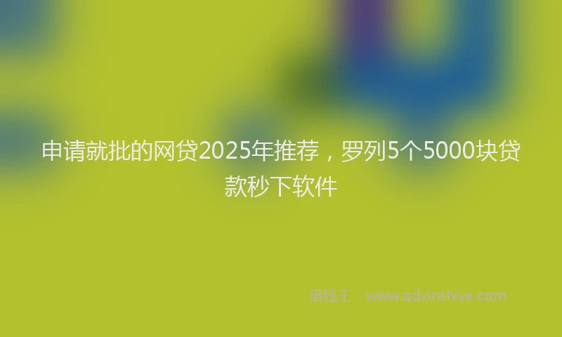 申请就批的网贷2025年推荐，罗列5个5000块贷款秒下软件