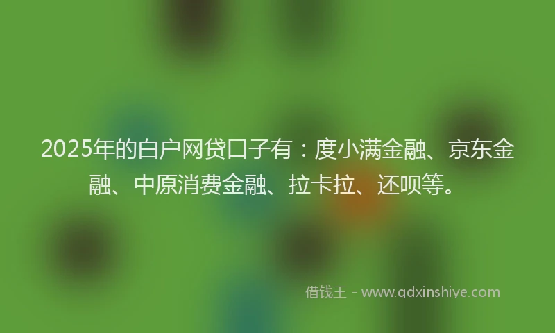 2025年的白户网贷口子有：度小满金融、京东金融、中原消费金融、拉卡拉、还呗等。