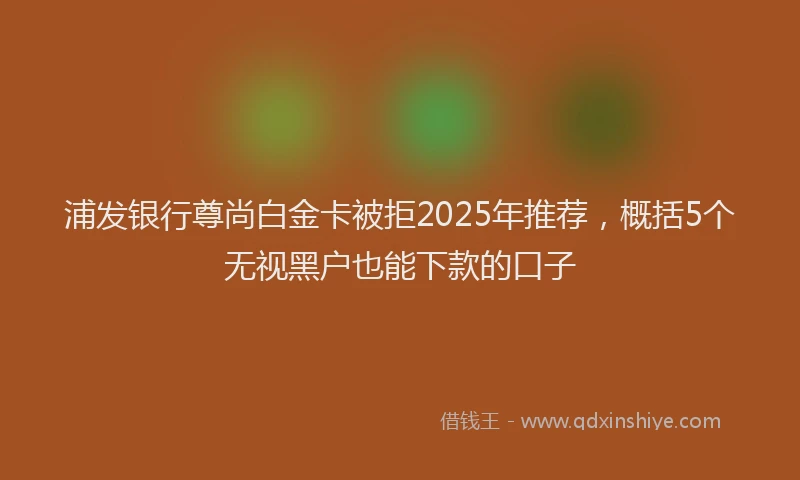 浦发银行尊尚白金卡被拒2025年推荐，概括5个无视黑户也能下款的口子