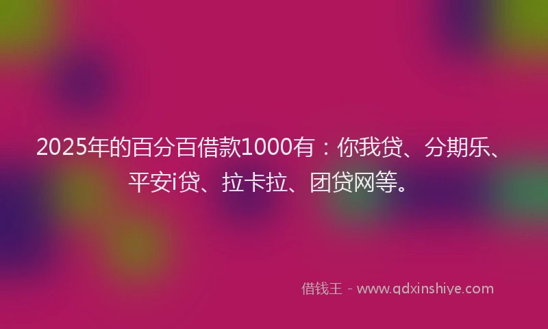 2025年的百分百借款1000有：你我贷、分期乐、平安i贷、拉卡拉、团贷网等。