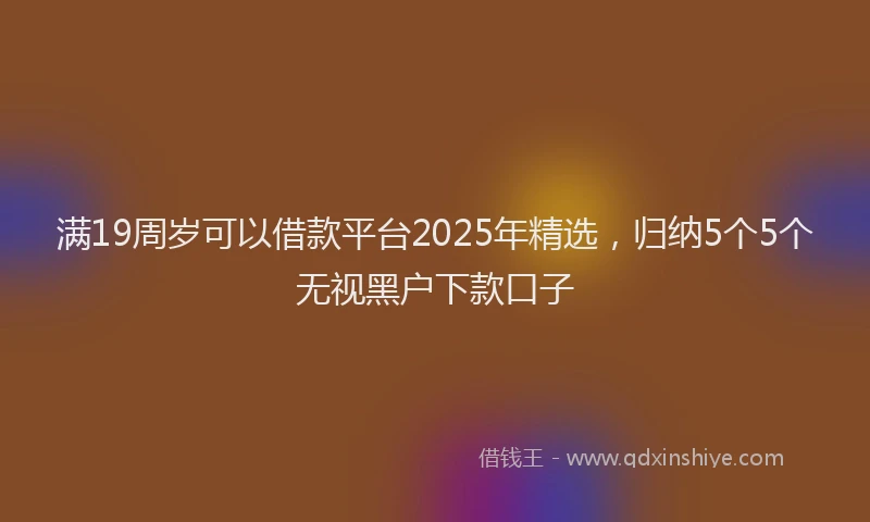 满19周岁可以借款平台2025年精选，归纳5个5个无视黑户下款口子