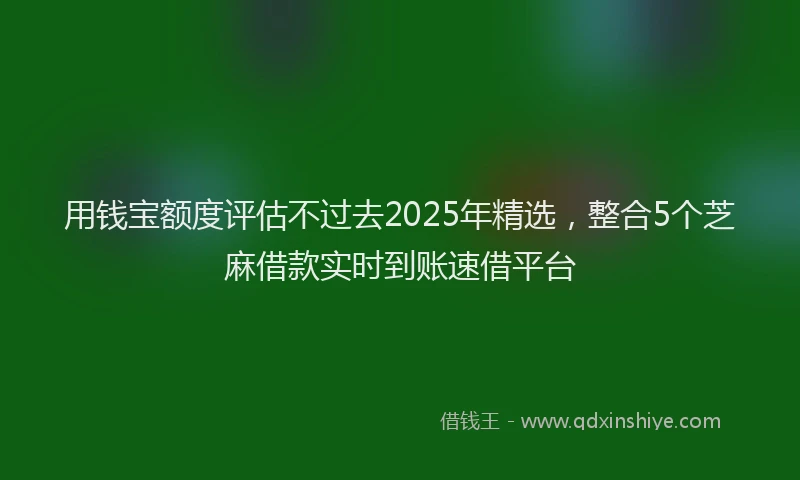 用钱宝额度评估不过去2025年精选，整合5个芝麻借款实时到账速借平台
