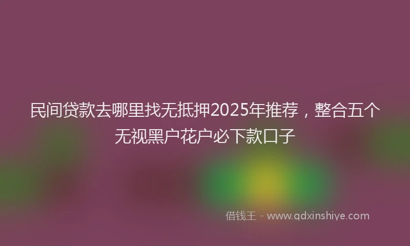 民间贷款去哪里找无抵押2025年推荐，整合五个无视黑户花户必下款口子