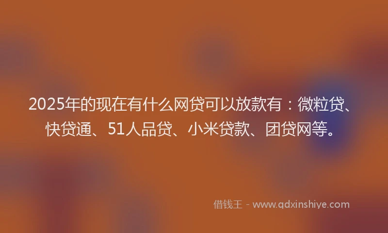 2025年的现在有什么网贷可以放款有：微粒贷、快贷通、51人品贷、小米贷款、团贷网等。