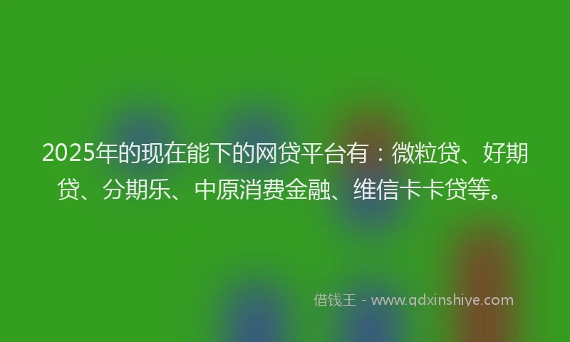 2025年的现在能下的网贷平台有：微粒贷、好期贷、分期乐、中原消费金融、维信卡卡贷等。