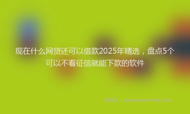 现在什么网贷还可以借款2025年精选，盘点5个可以不看征信就能下款的软件