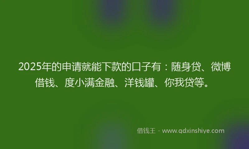 2025年的申请就能下款的口子有：随身贷、微博借钱、度小满金融、洋钱罐、你我贷等。