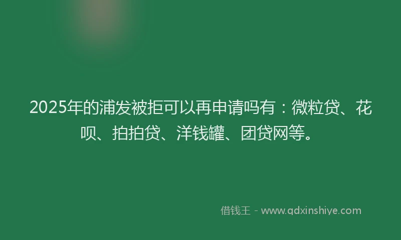 2025年的浦发被拒可以再申请吗有：微粒贷、花呗、拍拍贷、洋钱罐、团贷网等。
