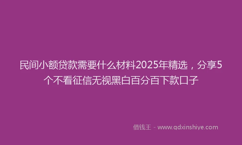 民间小额贷款需要什么材料2025年精选，分享5个不看征信无视黑白百分百下款口子