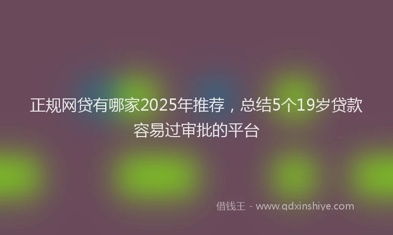 正规网贷有哪家2025年推荐，总结5个19岁贷款容易过审批的平台