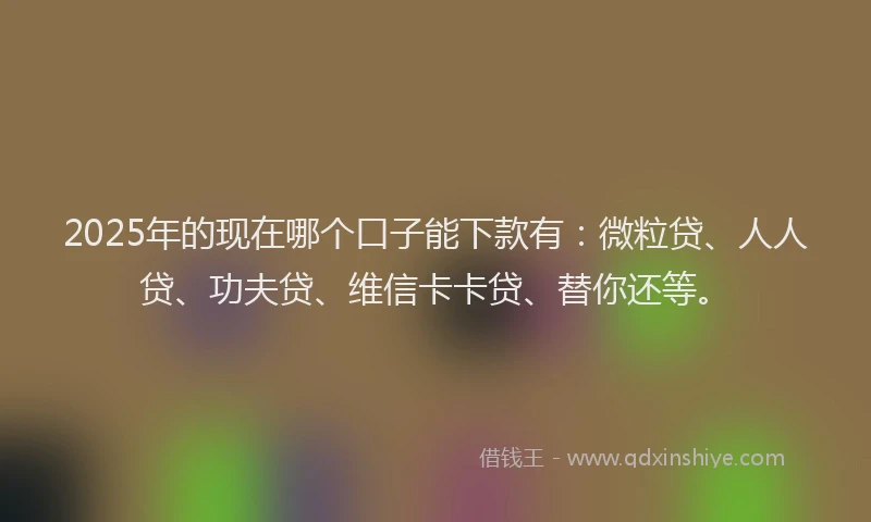 2025年的现在哪个口子能下款有：微粒贷、人人贷、功夫贷、维信卡卡贷、替你还等。