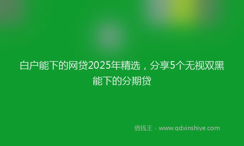 白户能下的网贷2025年精选，分享5个无视双黑能下的分期贷