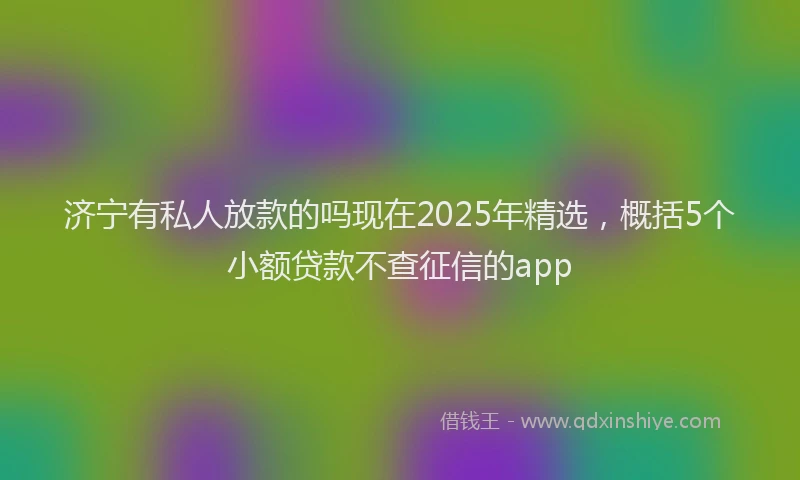 济宁有私人放款的吗现在2025年精选，概括5个小额贷款不查征信的app