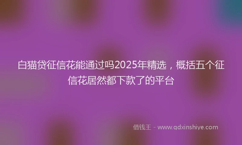 白猫贷征信花能通过吗2025年精选，概括五个征信花居然都下款了的平台