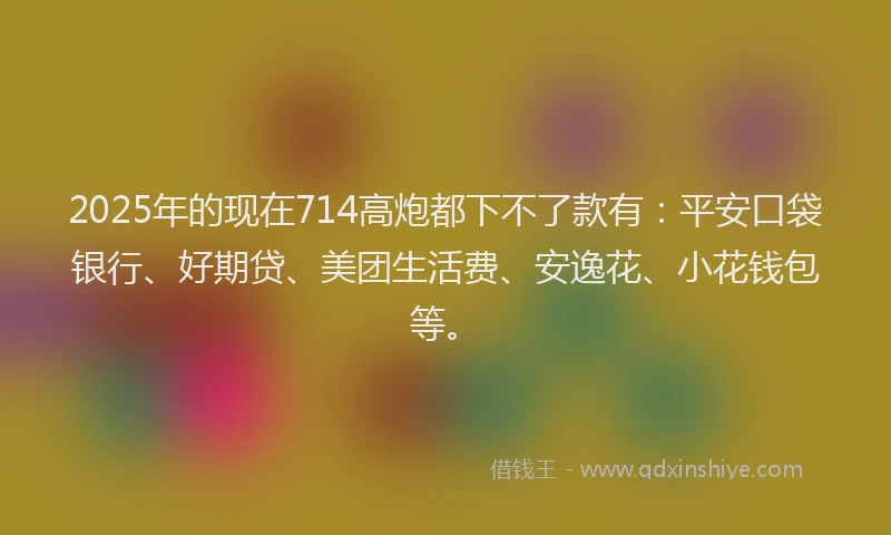 2025年的现在714高炮都下不了款有：平安口袋银行、好期贷、美团生活费、安逸花、小花钱包等。
