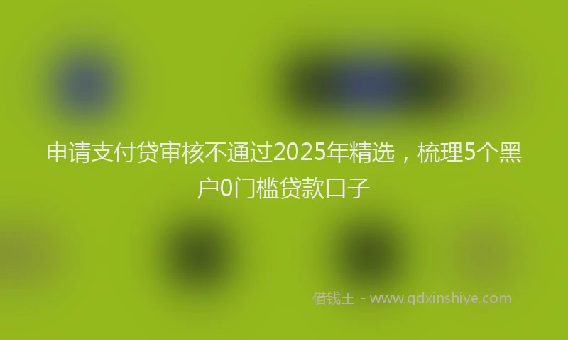 申请支付贷审核不通过2025年精选，梳理5个黑户0门槛贷款口子