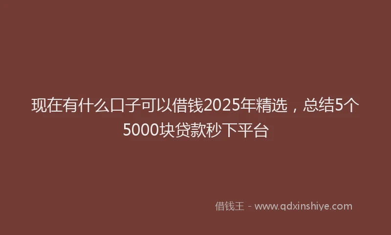 现在有什么口子可以借钱2025年精选，总结5个5000块贷款秒下平台