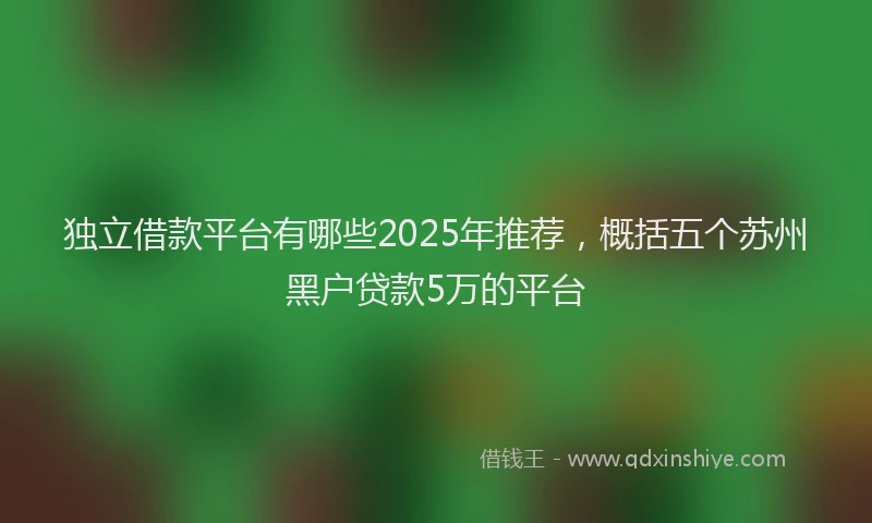 独立借款平台有哪些2025年推荐，概括五个苏州黑户贷款5万的平台