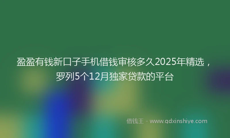 盈盈有钱新口子手机借钱审核多久2025年精选，罗列5个12月独家贷款的平台