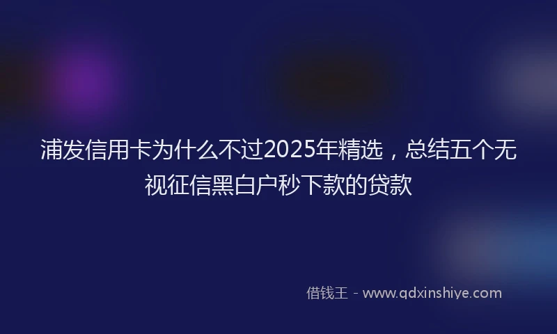 浦发信用卡为什么不过2025年精选，总结五个无视征信黑白户秒下款的贷款