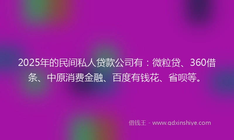 2025年的民间私人贷款公司有：微粒贷、360借条、中原消费金融、百度有钱花、省呗等。
