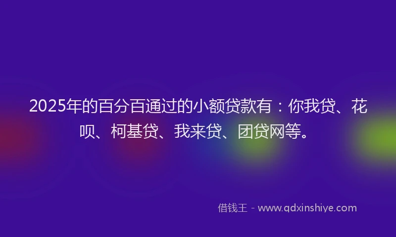 2025年的百分百通过的小额贷款有：你我贷、花呗、柯基贷、我来贷、团贷网等。