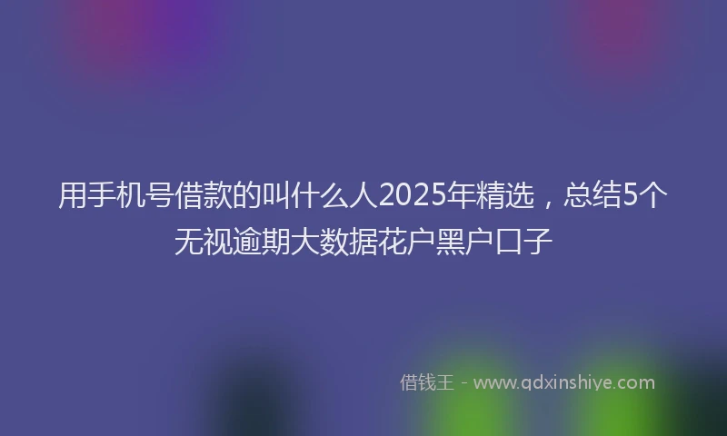 用手机号借款的叫什么人2025年精选，总结5个无视逾期大数据花户黑户口子