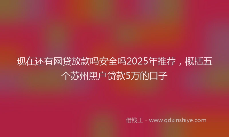 现在还有网贷放款吗安全吗2025年推荐，概括五个苏州黑户贷款5万的口子
