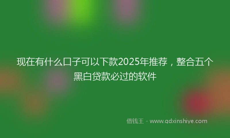 现在有什么口子可以下款2025年推荐，整合五个黑白贷款必过的软件