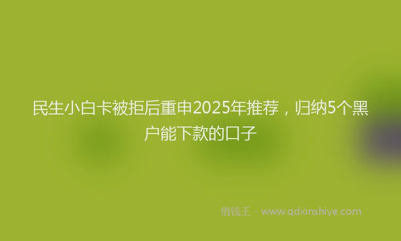 民生小白卡被拒后重申2025年推荐，归纳5个黑户能下款的口子