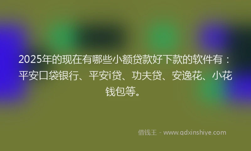 2025年的现在有哪些小额贷款好下款的软件有：平安口袋银行、平安i贷、功夫贷、安逸花、小花钱包等。