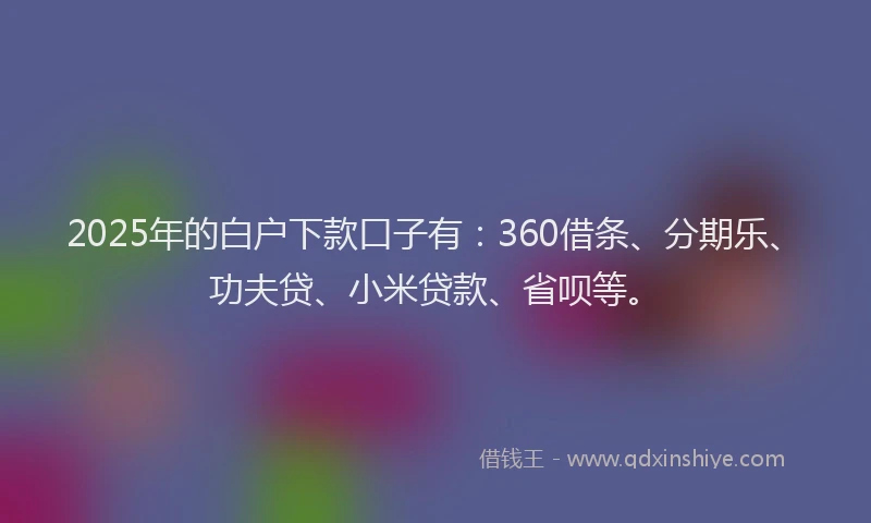 2025年的白户下款口子有：360借条、分期乐、功夫贷、小米贷款、省呗等。